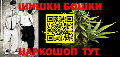 крисы Краснодар