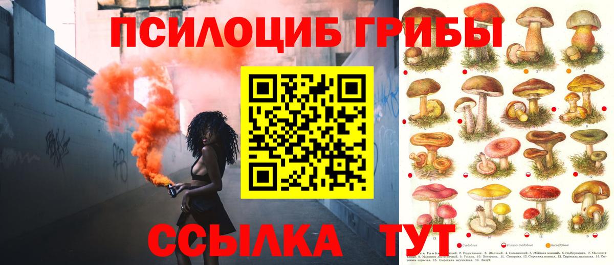 Галлюциногенные грибы MAGIC MUSHROOMS  Галлюциногенные грибы Psilocybe  Вход с VPN  Коряжма 